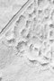 Mijölnir Juego de alfombrillas de baño Elite - Ecru